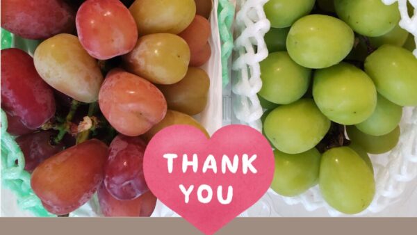 お客様からブドウをいただきました🍇