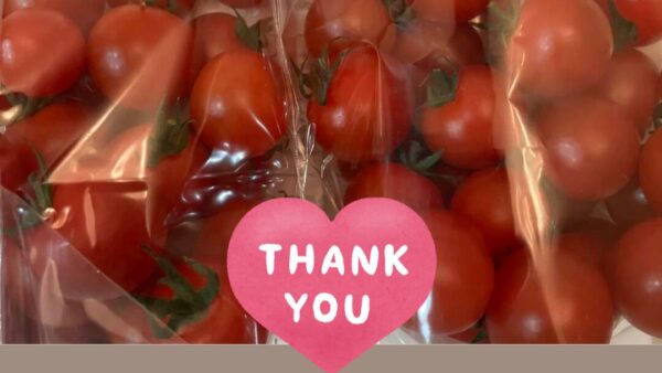 お客様からミニトマト🍅いただきました
